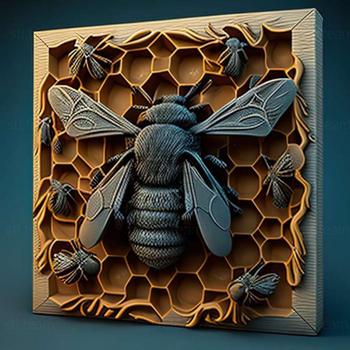 3D модель Osmia nigriventris (STL)